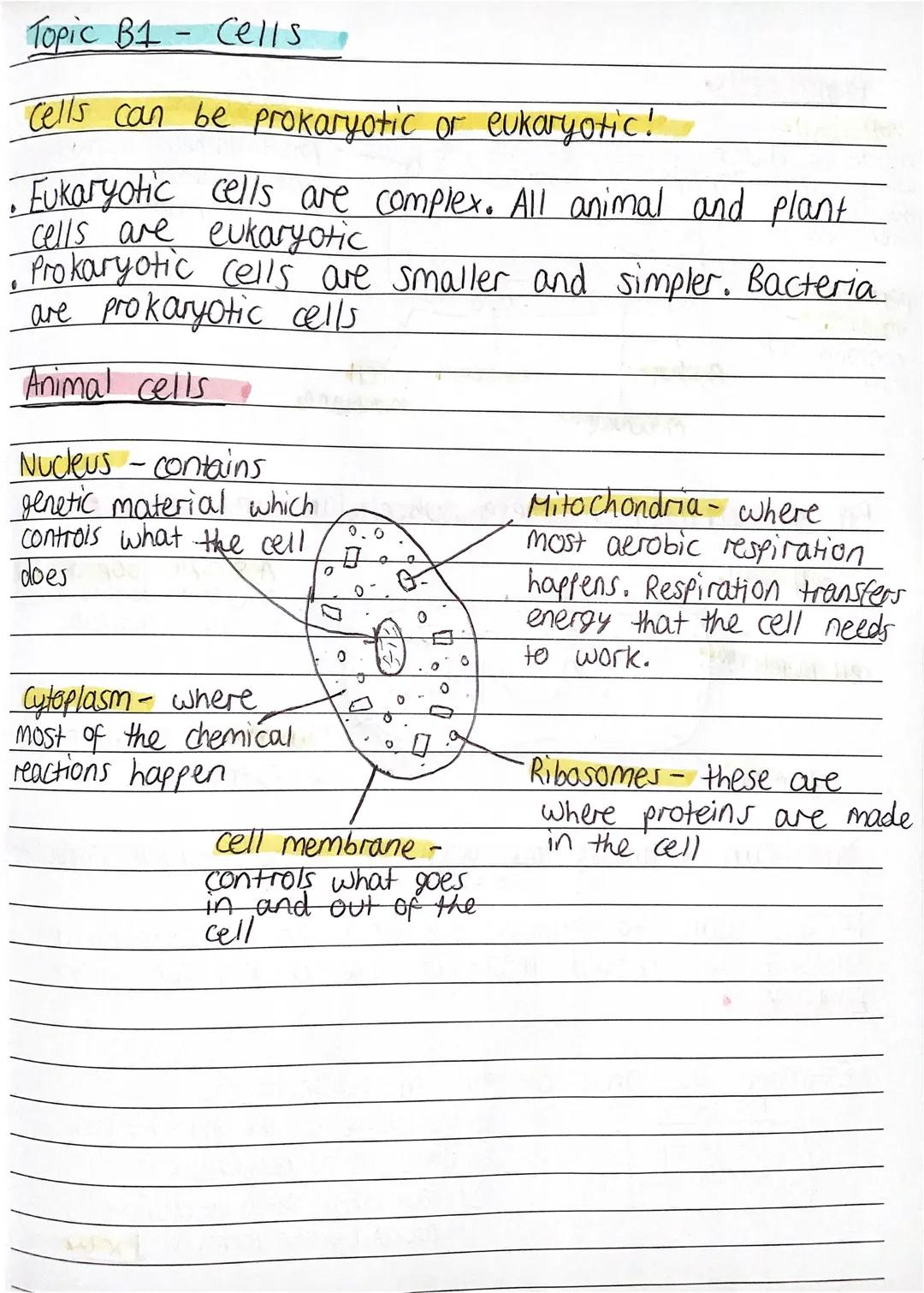 # Topic B1- Cells
Cells can be prokaryotic or eukaryotic!
โข Eukaryotic cells are complex. All animal and plant
cells are eukaryotic
Prokar