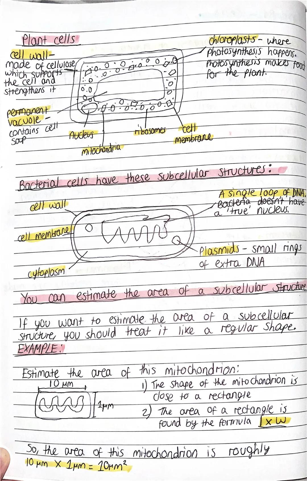 # Topic B1- Cells
Cells can be prokaryotic or eukaryotic!
โข Eukaryotic cells are complex. All animal and plant
cells are eukaryotic
Prokar