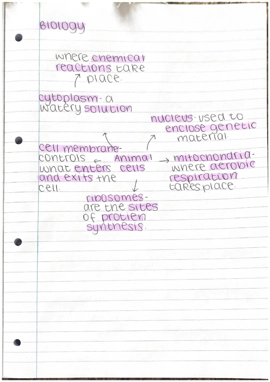 BIDIOgy
made
from cellulose.
cell membrane-
controls what
enters and
exits.
cell wall-strengthens
the cell
plant
mitochond cells
ria-whe