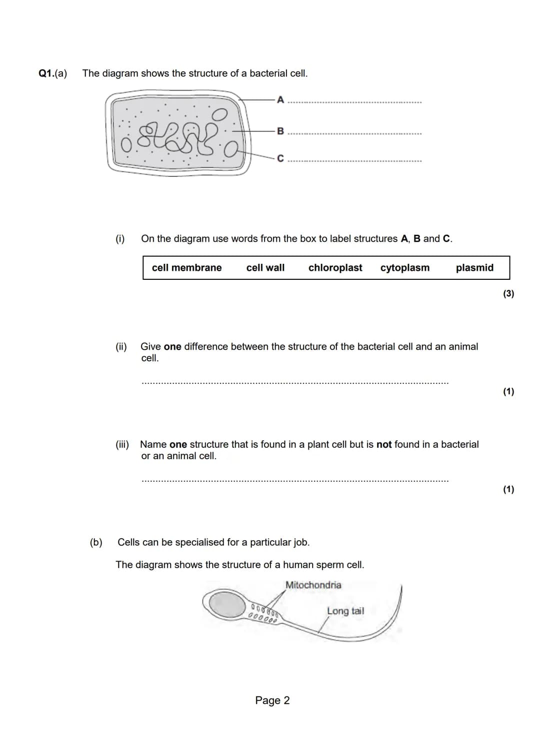 Q1.(a) The diagram shows the structure of a bacterial cell.
A
B
C
(i) On the diagram use words from the box to label structures A, B and C.