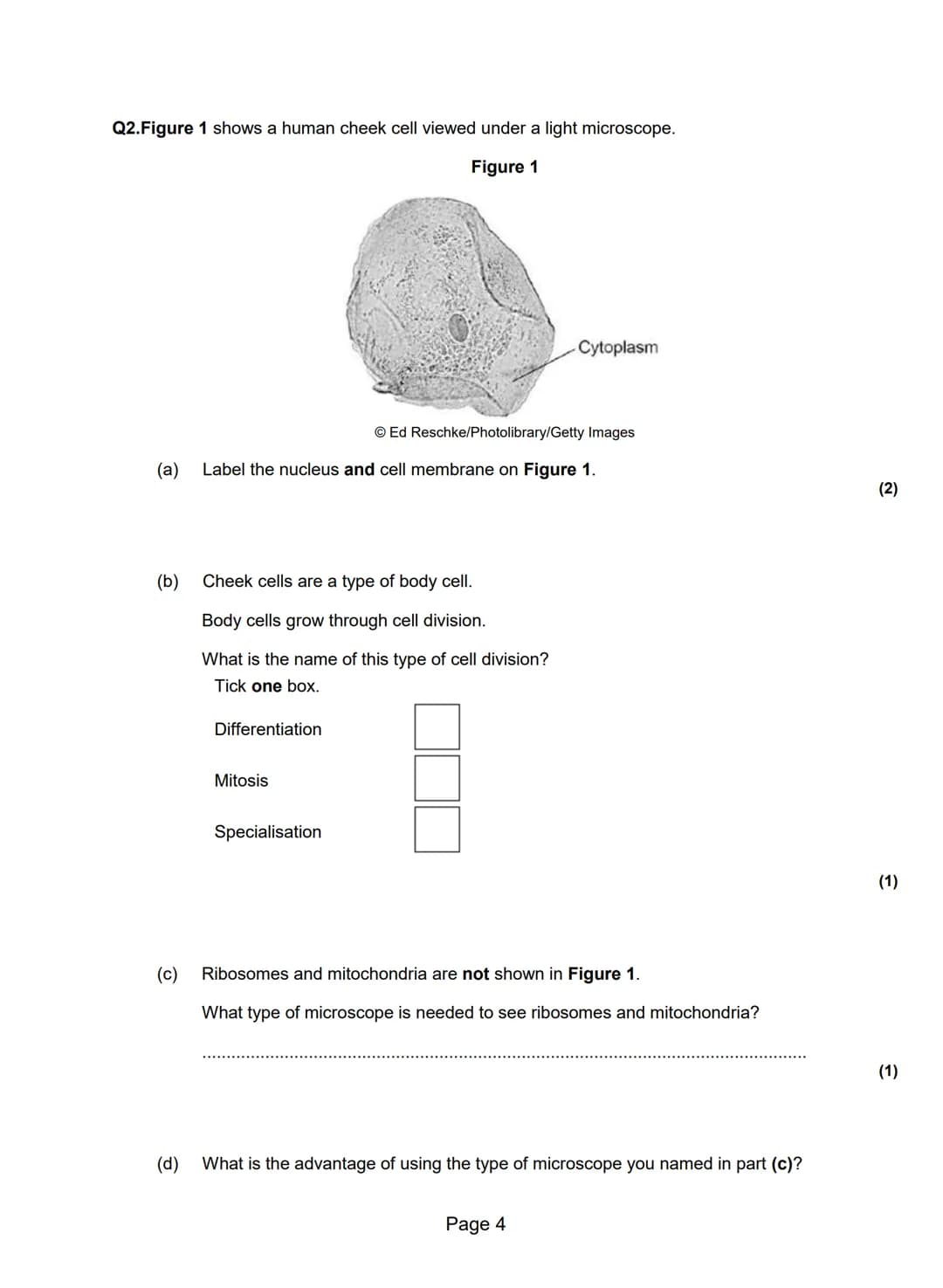 Q1.(a) The diagram shows the structure of a bacterial cell.
A
B
C
(i) On the diagram use words from the box to label structures A, B and C.