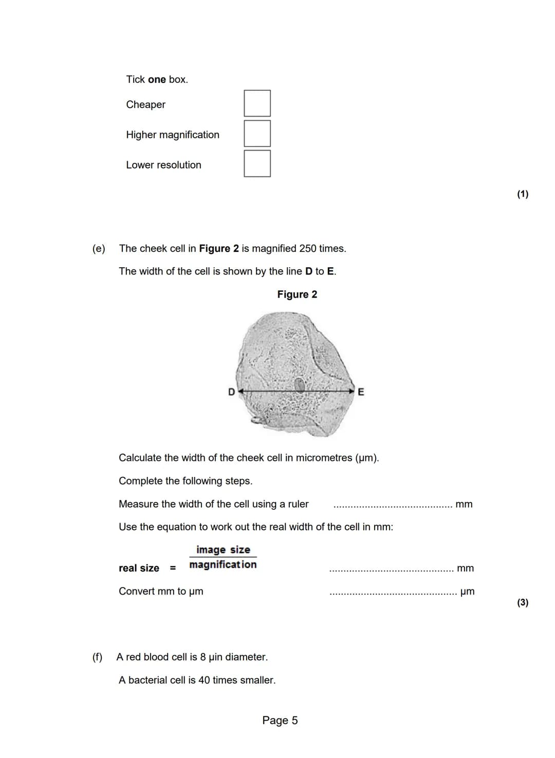 Q1.(a) The diagram shows the structure of a bacterial cell.
A
B
C
(i) On the diagram use words from the box to label structures A, B and C.