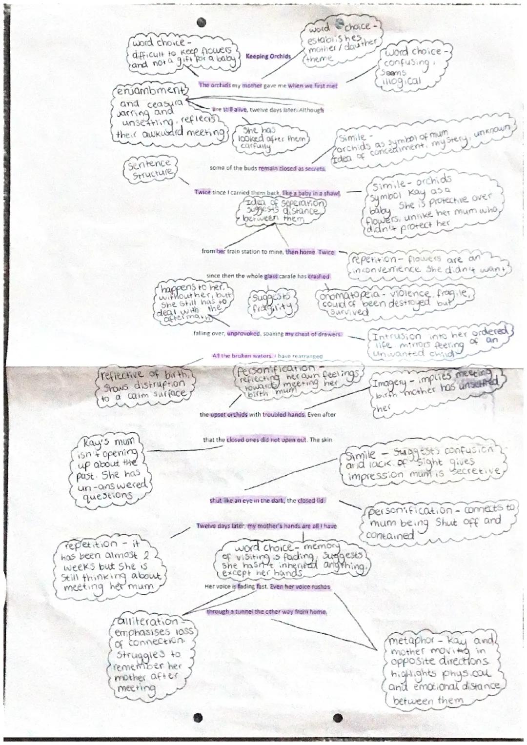 word choice.
difficult to keep flowers
(and nor a gift for a baby Keeping Orchids
word choice-7
establishes,
mother/dauth
(theme
thuther
w