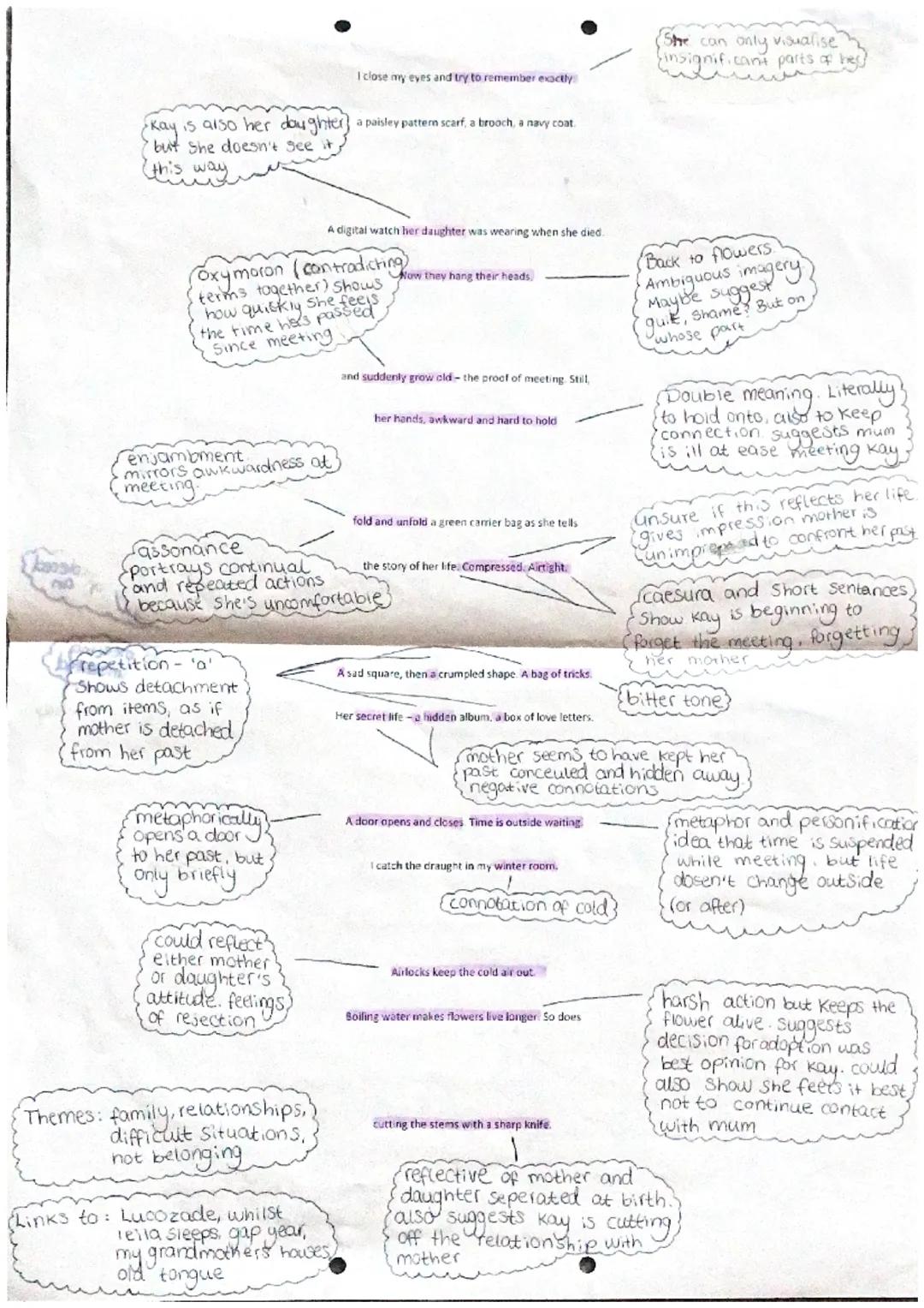 word choice.
difficult to keep flowers
(and nor a gift for a baby Keeping Orchids
word choice-7
establishes,
mother/dauth
(theme
thuther
w