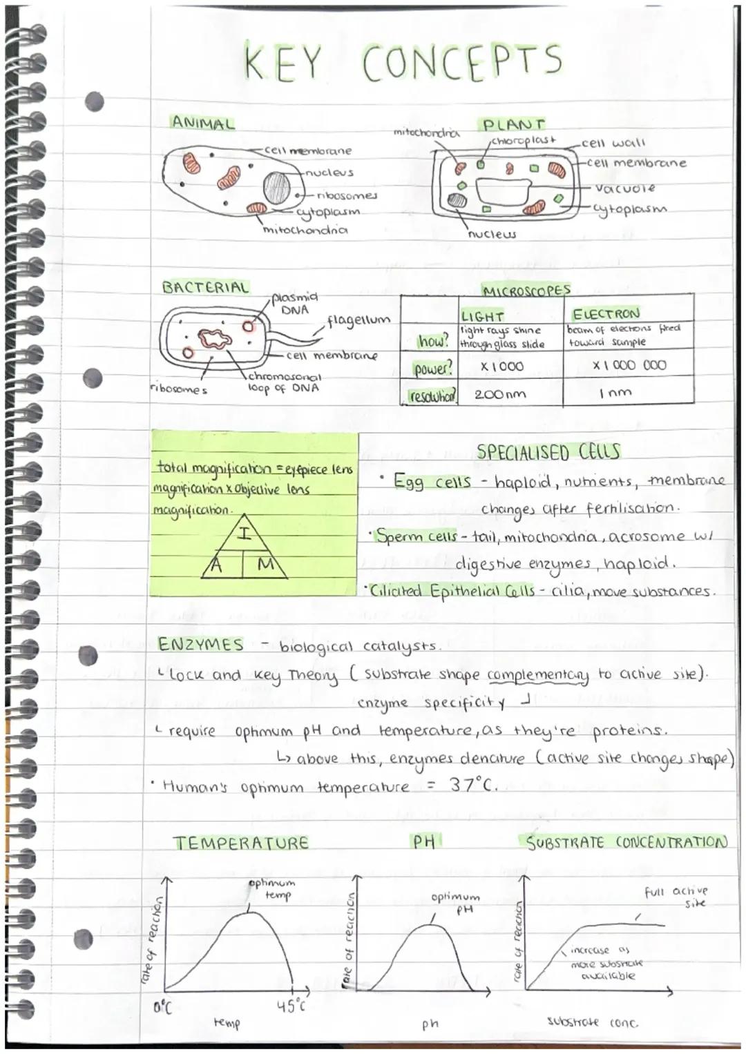 Cell Types, Specialised cells, Food Tests, Microscopy, Enzymes, Calorimetry