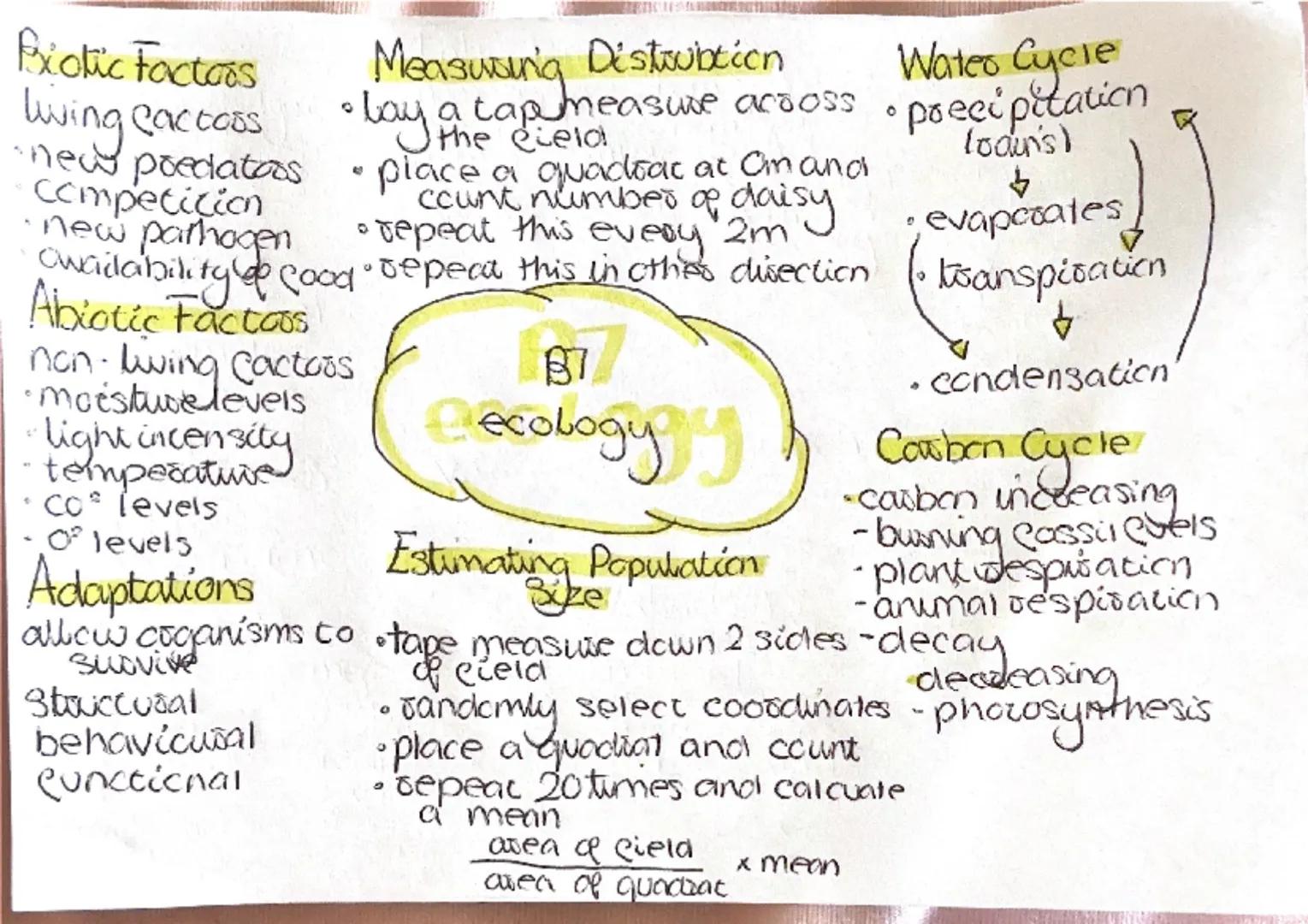 # Central Nervous System
Stimulus
receptors
Sensory neurone
CNS
Motor neurone
effectors
response
# Synapses
connections between
two neurone