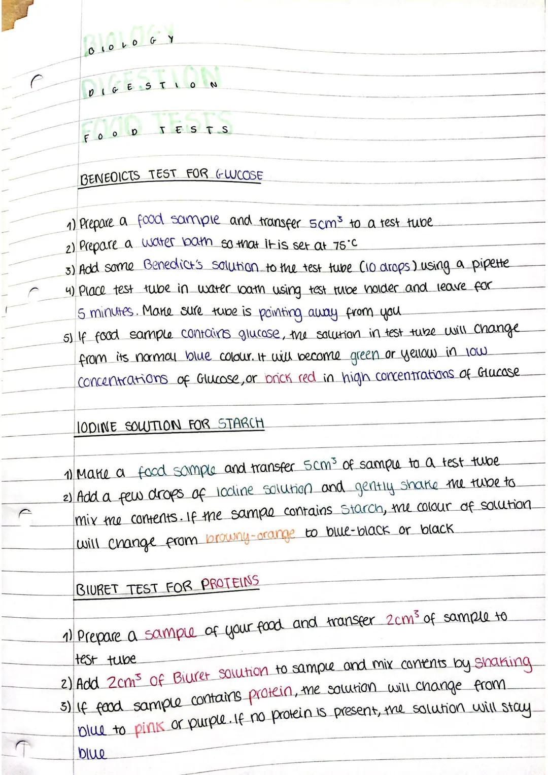 BLO LO GY
DIGE STI
FOO
D
0
TESTS
BENEDICTS TEST FOR GLUCOSE
1) Prepare a food sample and transfer 5cm³ to a test tube
2) Prepare a water bat