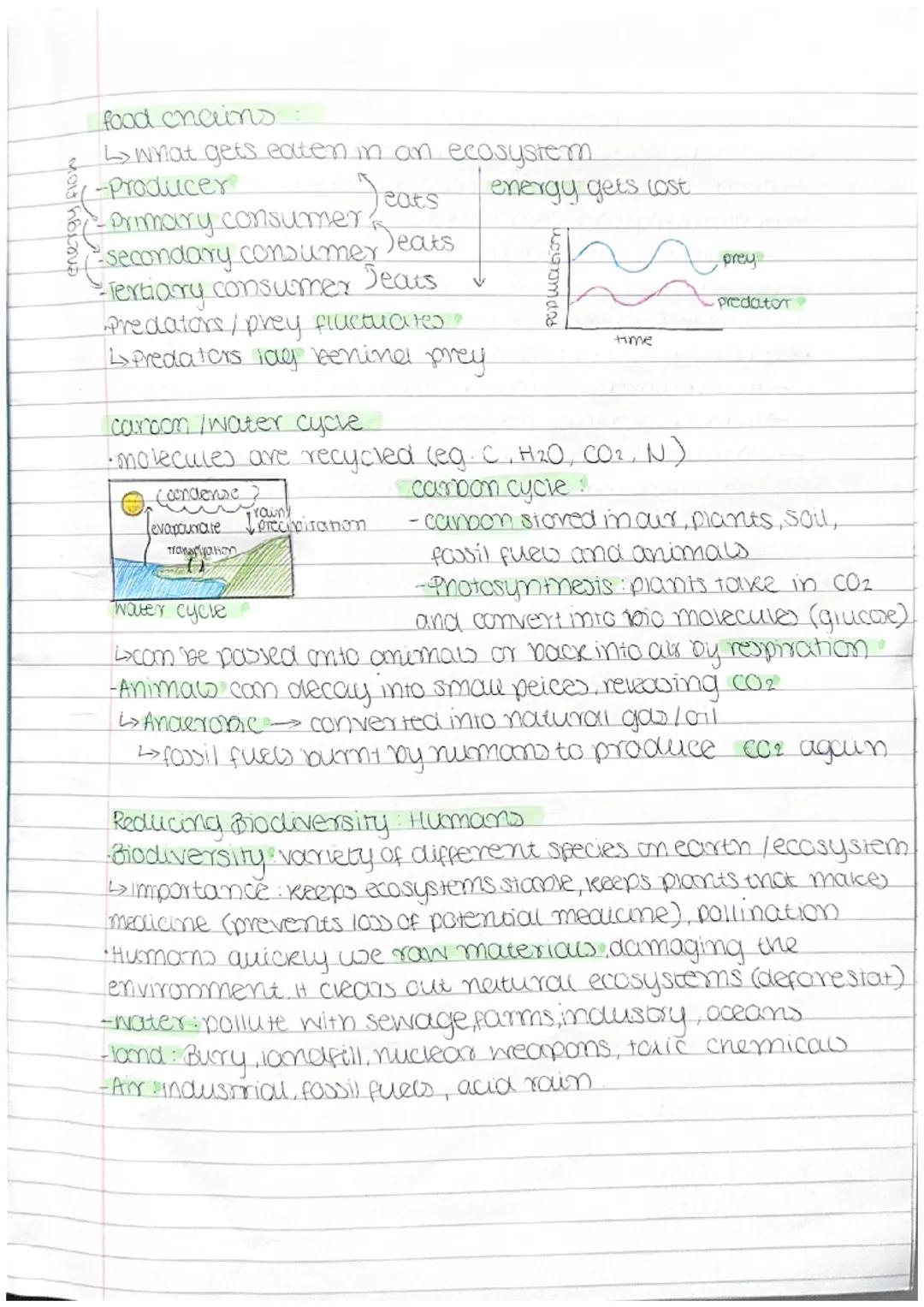 Topic 7. Ecology
competition and interdependence.
ecology. All organisms nave relationships.
↳eg predators, plants/food, omer animals, envir