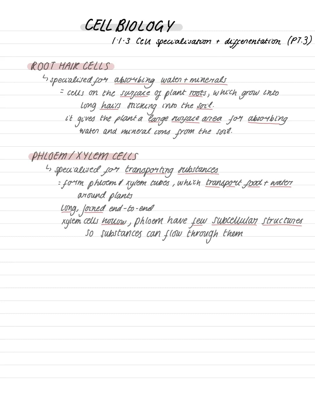 # CELL BIOLOGY
## 1.1.3 Cell specialisation + differentiation (PT.1)
- Differentiation: a cell changing in
order to become specialised
↳