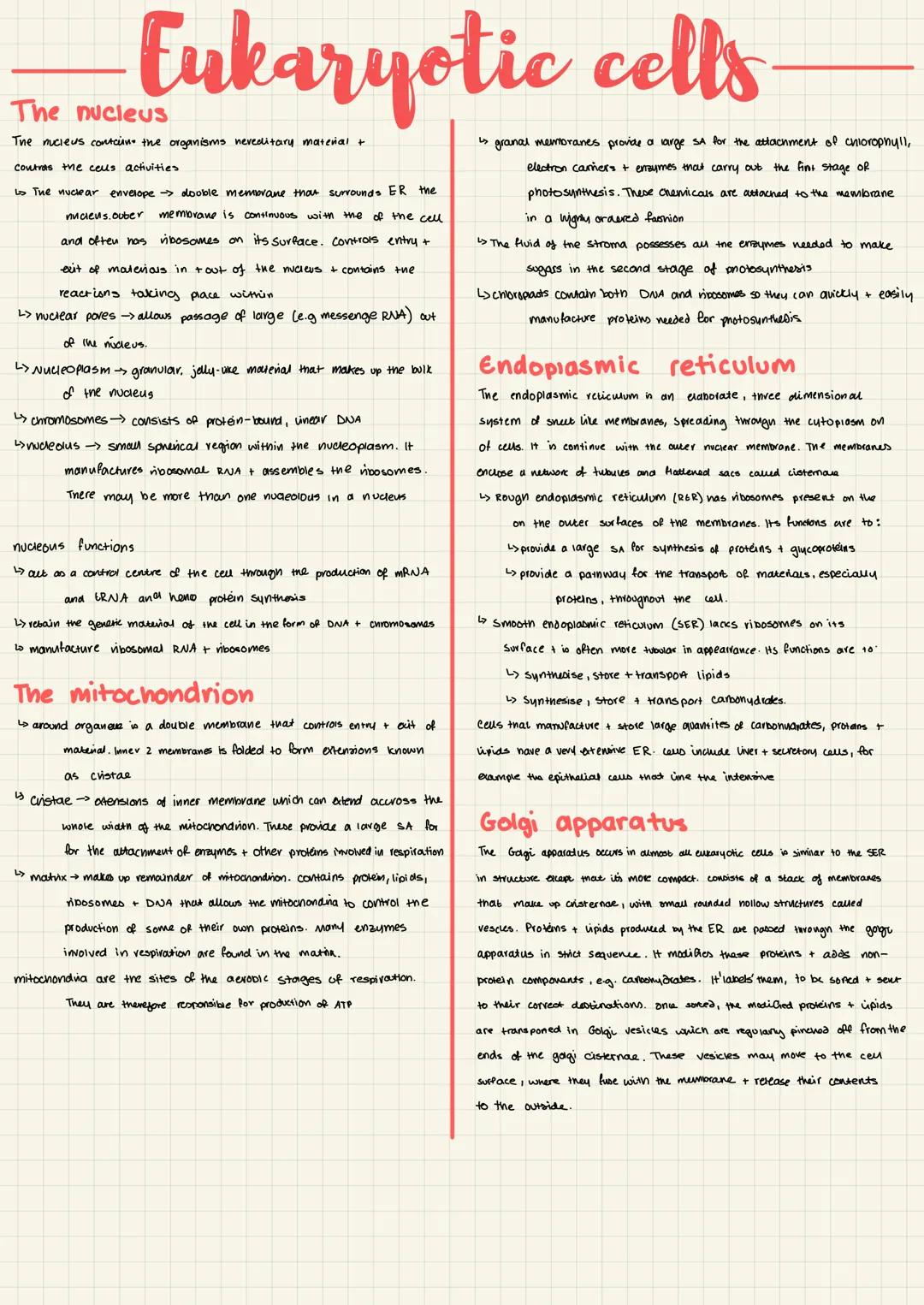 AQA A-Level Biology Eukaryotic Cells Notes