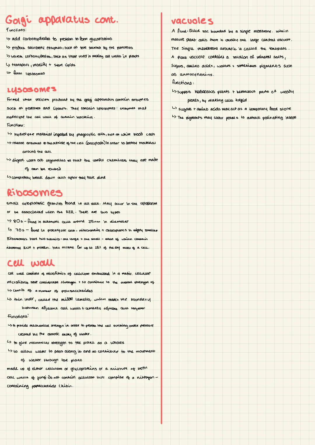 # Eukaryotic cells
## The nucleus
The nucleus contain the organisms nereditary material +
Coutras the ceus activities
โณ The nuclear envelo