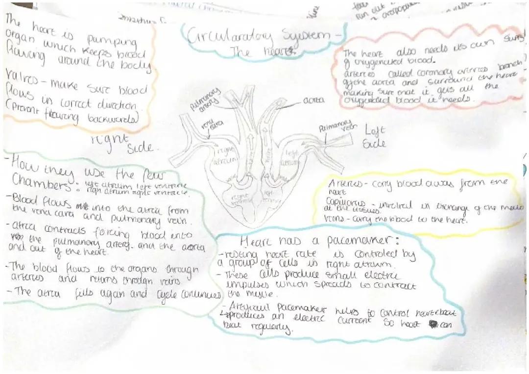 Combined science biology paper 1