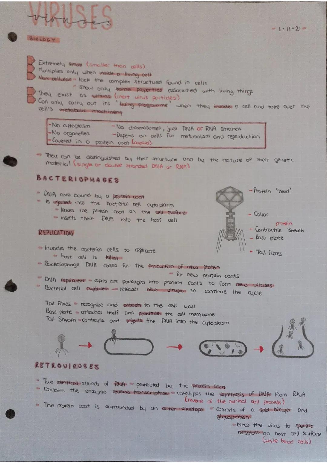 CCEA ASlevel Biology- Viruses