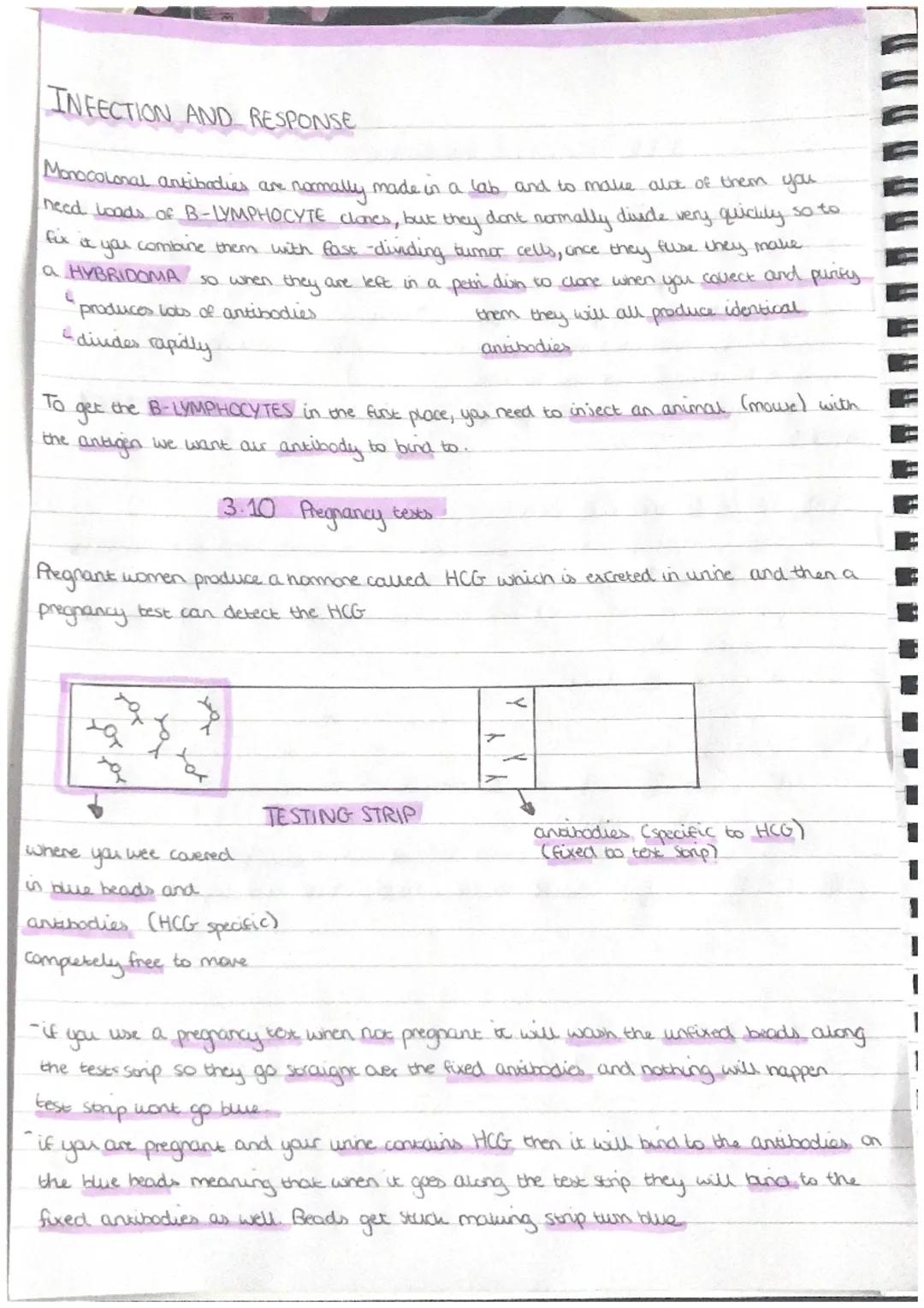 INECTION AND RESPONSE
MICROORGANISMS
3.1. Communicarte diseases ~ Invoro.
group of tiny organ cells including bacteria unises, proxises and