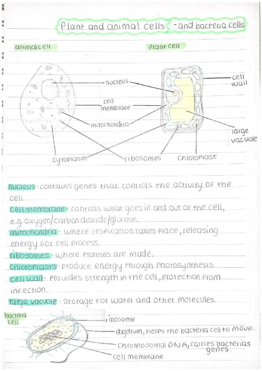 Combined Science, Foundation