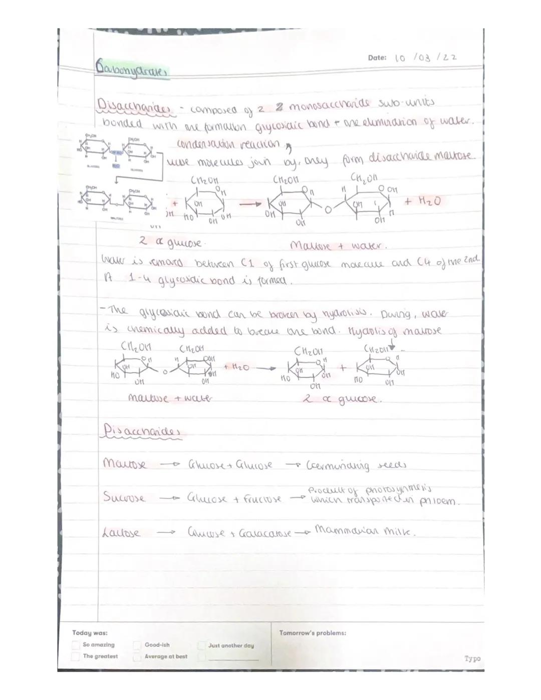Date: 3/10 ha
Waler
- is a porar moleulle; the oxyger end of the molecule nas a
negative charge + the hydrogen atoms have a pasive charge.