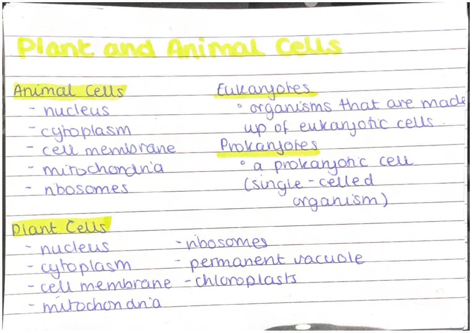 Plant and Animal Cells
Animal Cells
- nucleus
- cytoplasm
- cell membrane
- mitochondna
- nbosomes
Plant Cells
- nucleus
- cytoplasm
- cel
