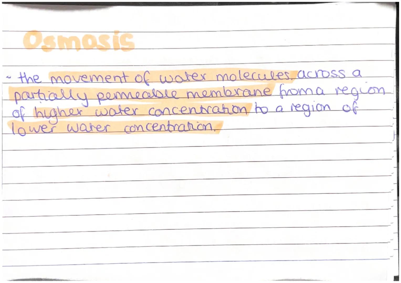 Plant and Animal Cells
Animal Cells
- nucleus
- cytoplasm
- cell membrane
- mitochondna
- nbosomes
Plant Cells
- nucleus
- cytoplasm
- cel