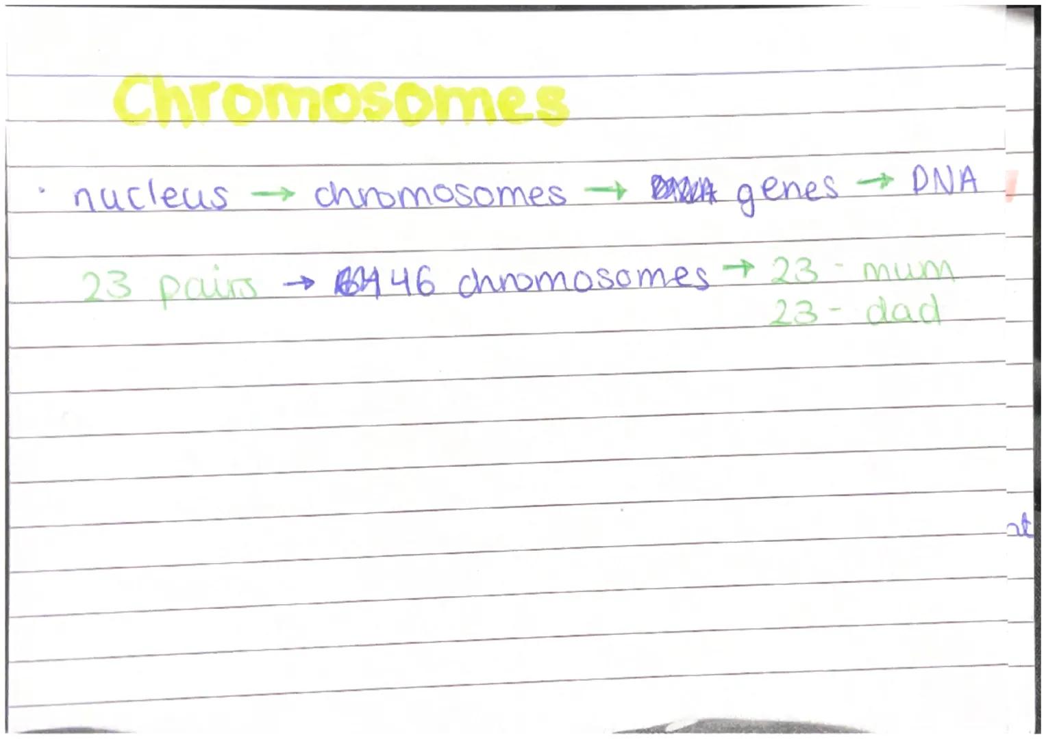 Plant and Animal Cells
Animal Cells
- nucleus
- cytoplasm
- cell membrane
- mitochondna
- nbosomes
Plant Cells
- nucleus
- cytoplasm
- cel