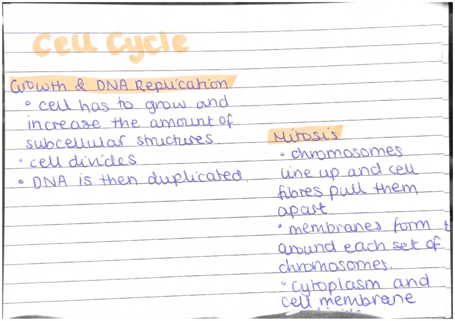 Plant and Animal Cells
Animal Cells
- nucleus
- cytoplasm
- cell membrane
- mitochondna
- nbosomes
Plant Cells
- nucleus
- cytoplasm
- cel