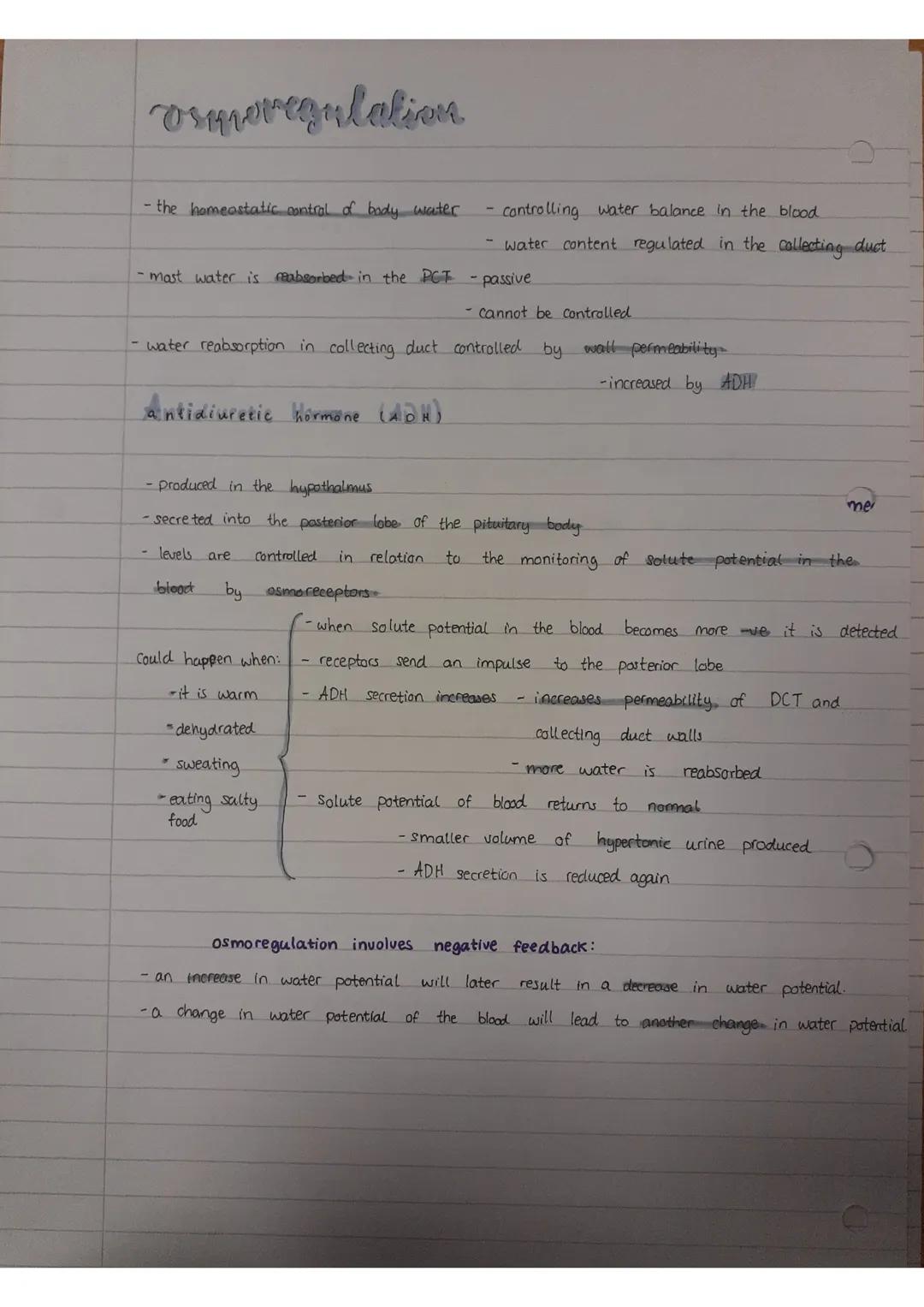 the kidney
- it has
2 important
functions:
-excretion - removal of toxic
urinary system structure
Structure
asmoregulation - control and
und