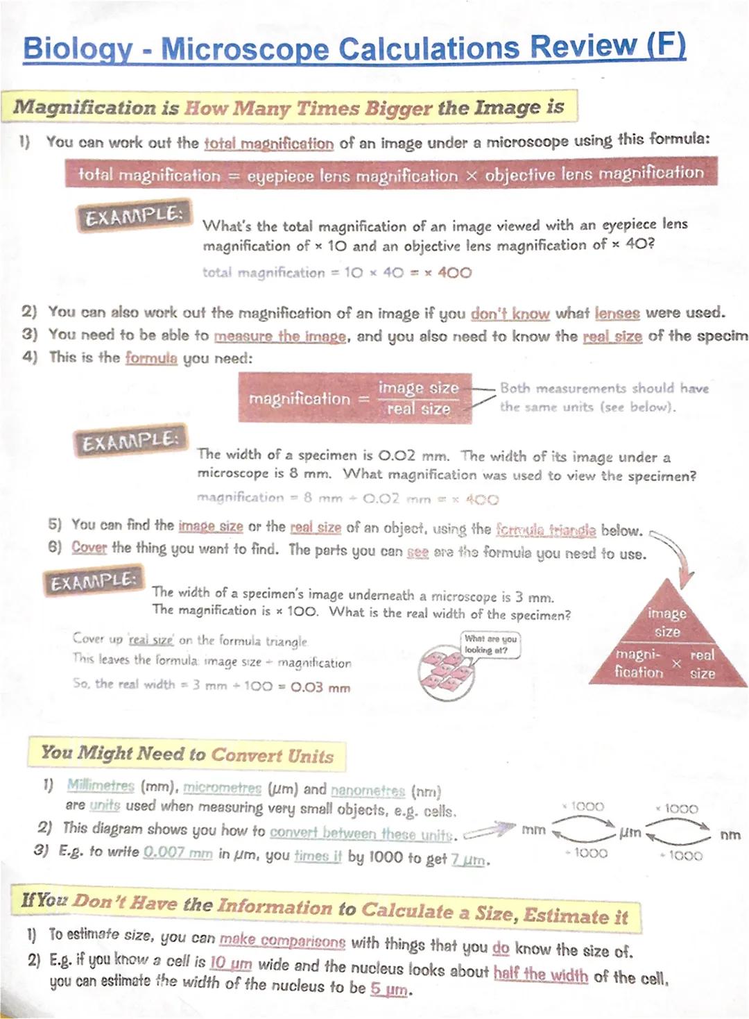 Biology - Microscope Review (F)
Cells are Studied Using Microscopes
1) Microscopes use lenses to magnify things (make them look bigger).
2)