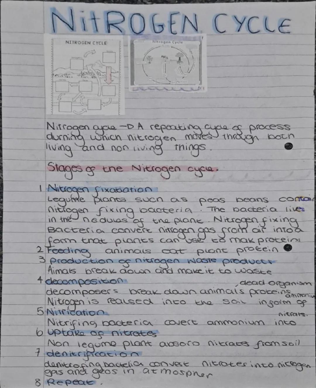 # NITROGEN CYCLE
NITROGEN CYCLE
Nitrogen Cycle
Nitrogen -DA repeating cyde of process
durning which nitrogen mores through both
living an