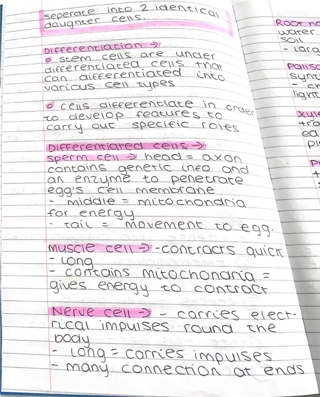 # CELLS basic unit of life
Living organisms
EUKARYOTES
can be divided to...
...٥٢...
PROKARYOTES
(unicellular organisms)
(multicellonisms)