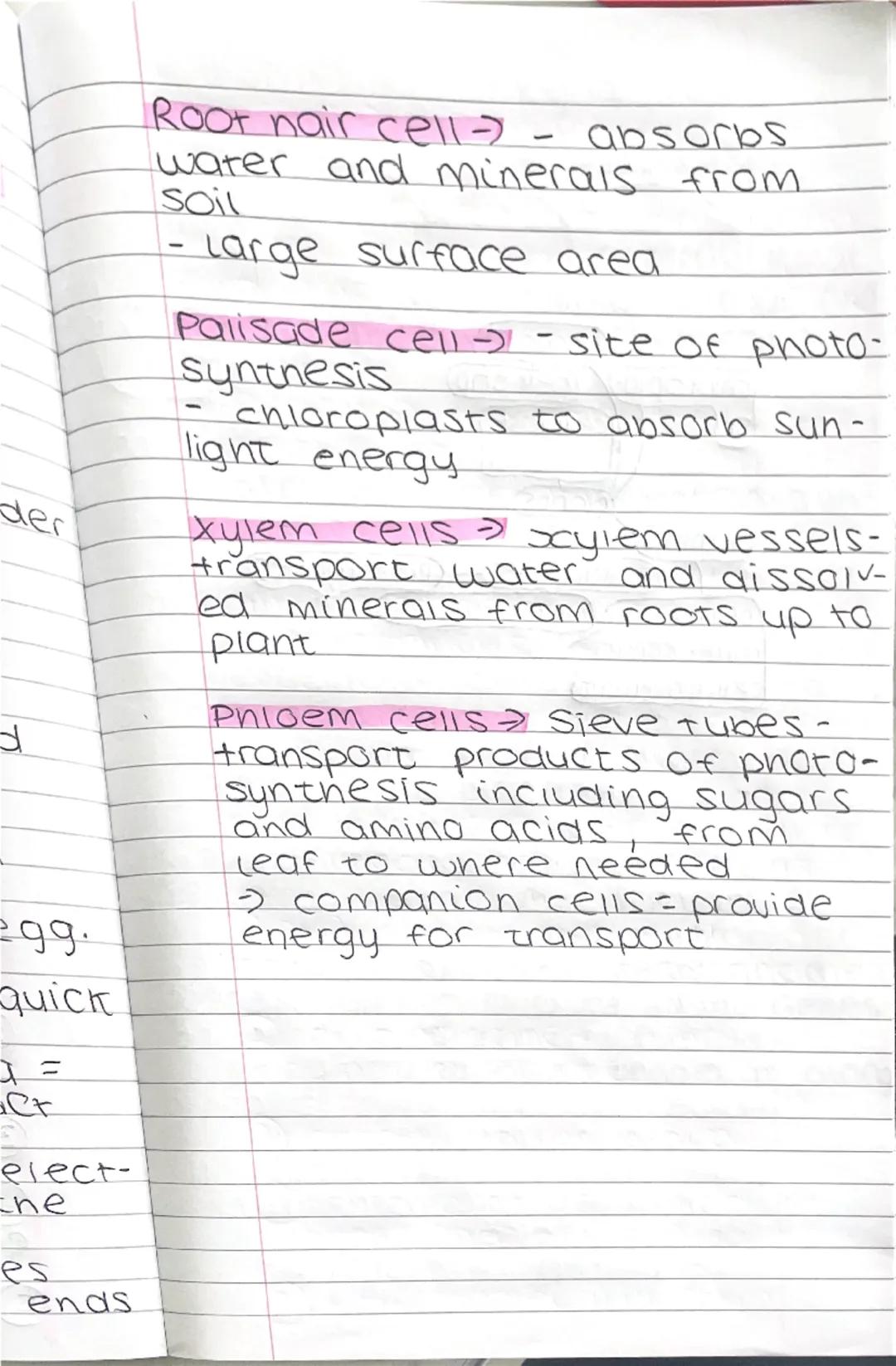 # CELLS basic unit of life
Living organisms
EUKARYOTES
can be divided to...
...٥٢...
PROKARYOTES
(unicellular organisms)
(multicellonisms)