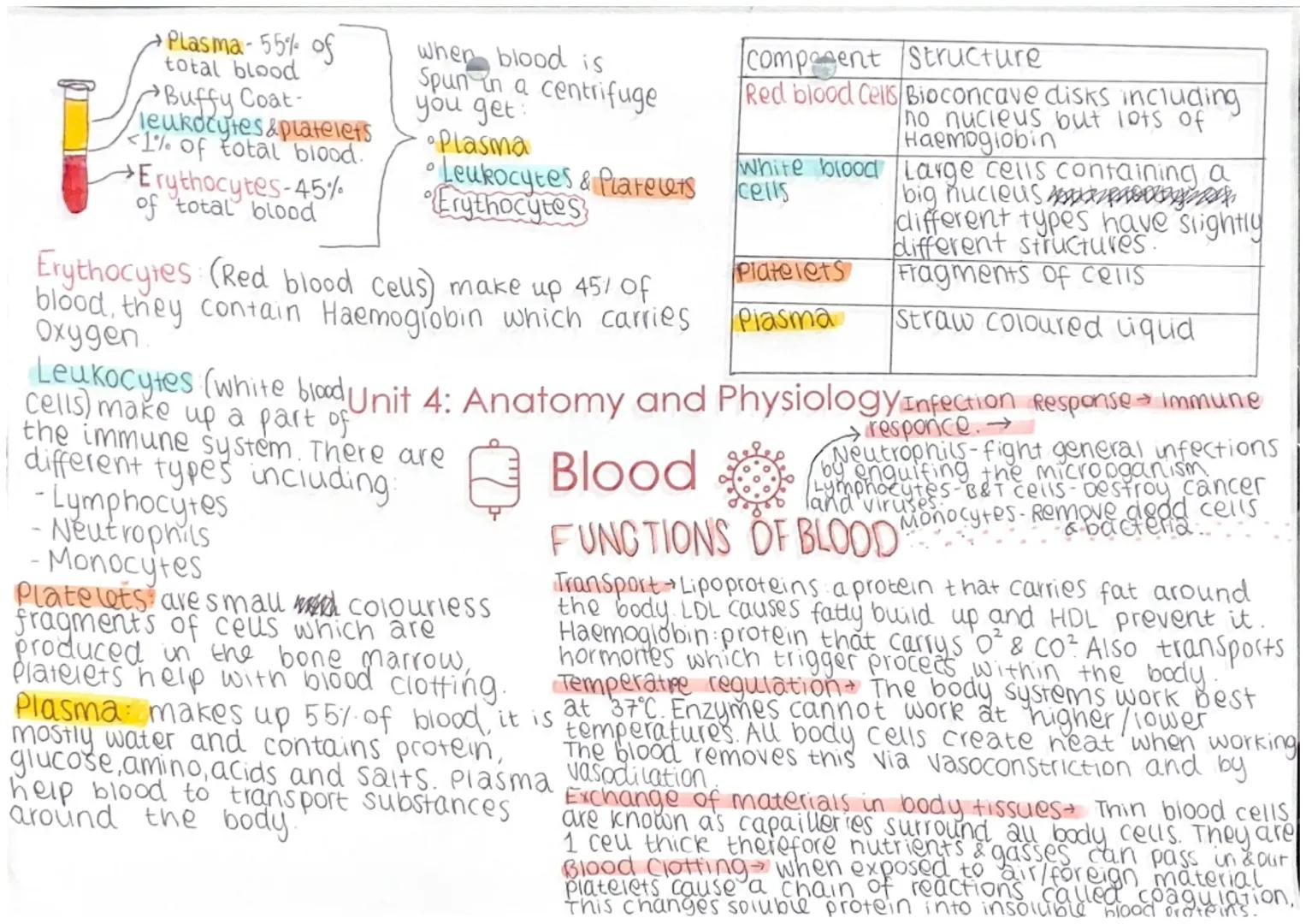 - Plasma-55% of
total blood
- Buffy Coat-
leukocytes & platelets
<1% of total blood.
→Erythocytes-45%
of total blood
when blood is
Spun in a