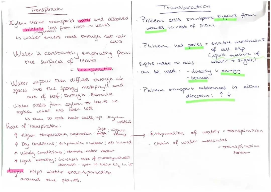 Transpiration & Translocation: Biology
