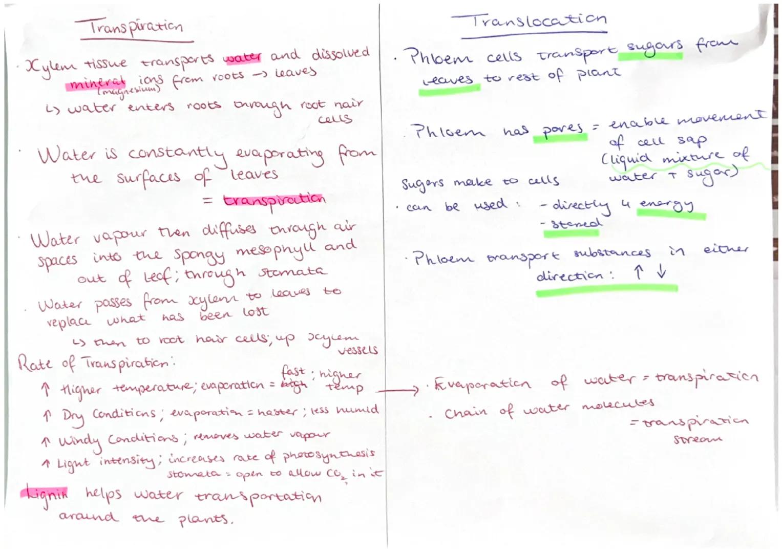 Transpiration
tissue transports water and dissolved
mineral ions from roots -> leaves
Xylem
2) water enters roots through root hair
cells
Wa