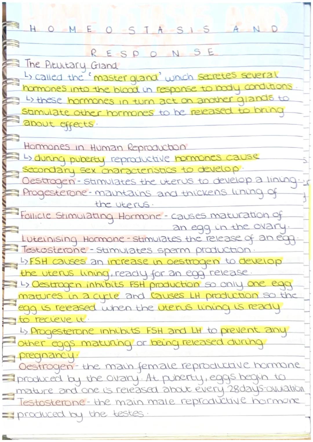 HOMEO STASIS AND
RESPO N SE
The Pituitary Gland
↳ called the 'master gland' which secretes several
hormones into the blood in response to b