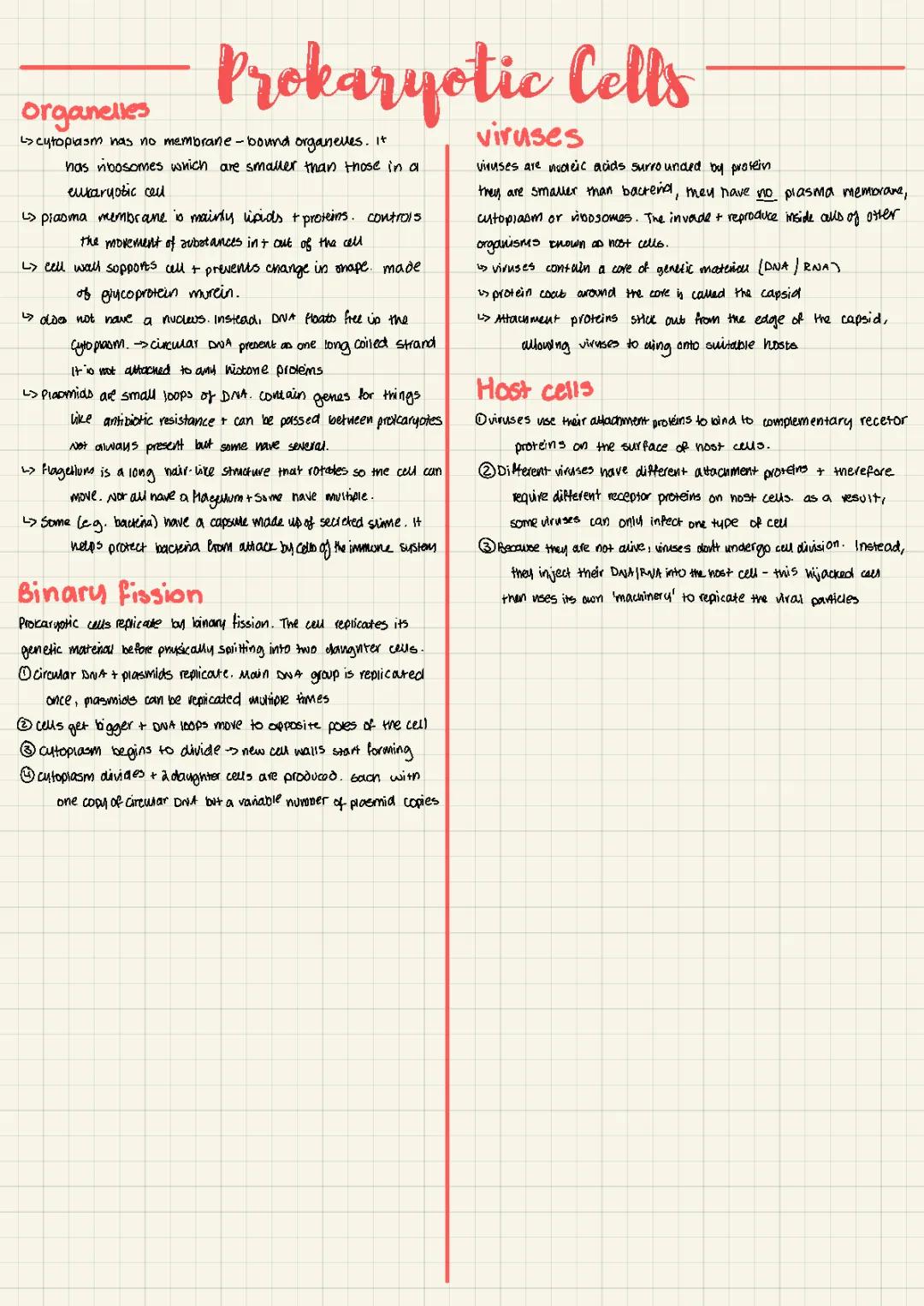 AQA A-Level Biology Prokaryotic Cells and Viruses