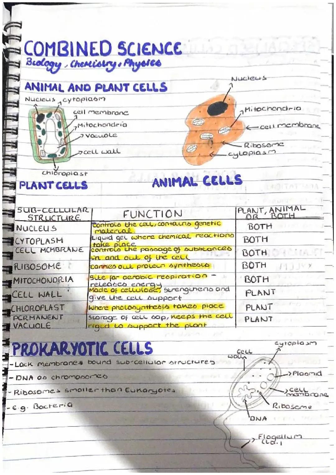 Combined Science Bio paper 1