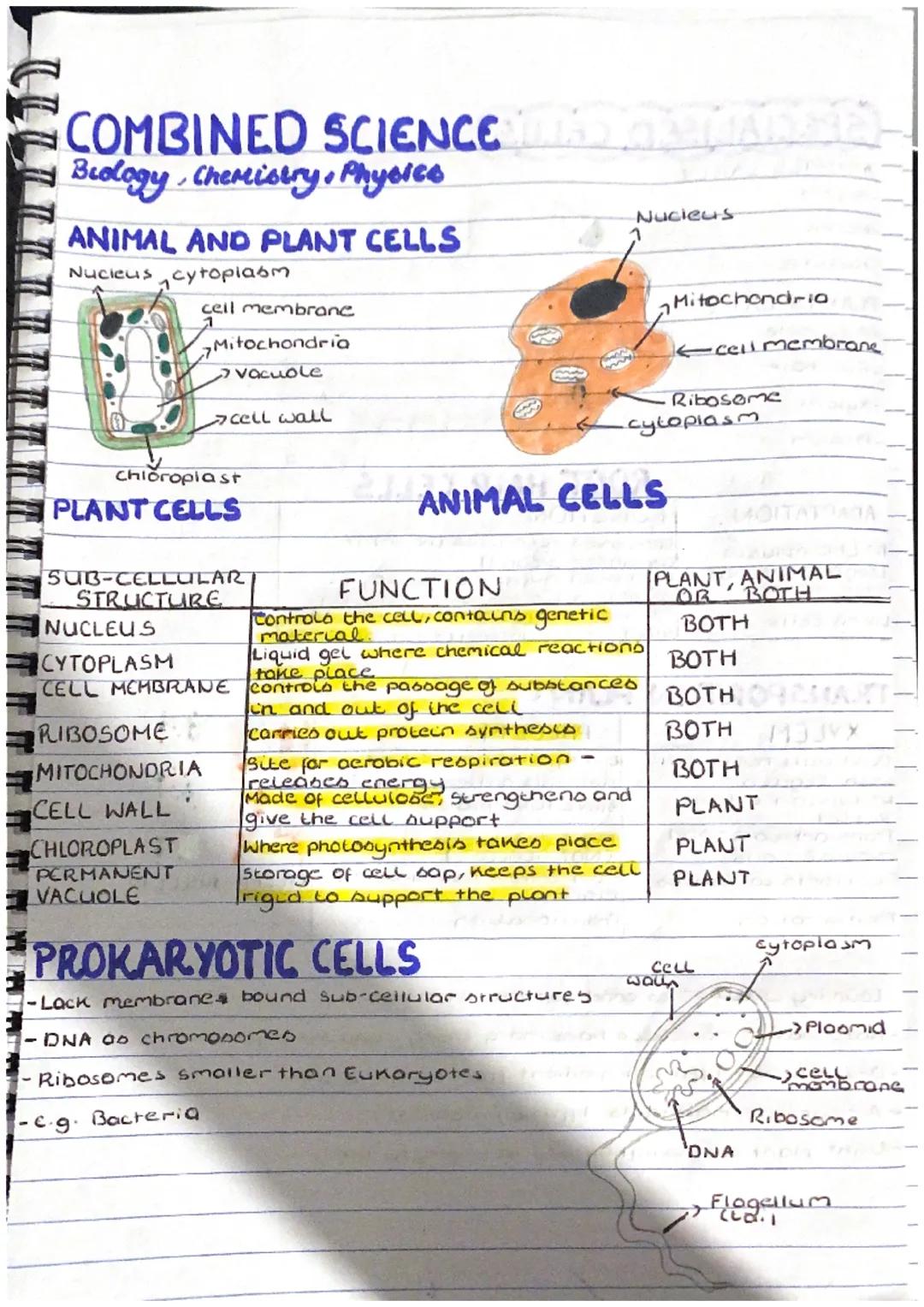 COMBINED SCIENCE WAS GERHARGE)
Biology Chemistry, Physice
✓
ANIMAL AND PLANT CELLS
Nucleus cytoplasm
cell membrane
Mitochondria
Vacuole
Chlo