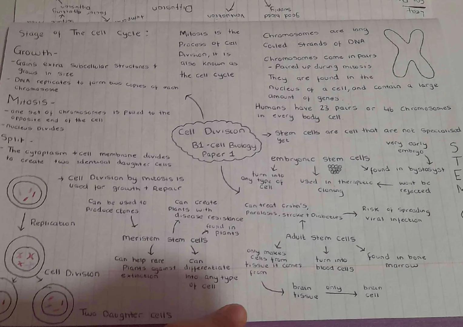 Cell Differentiation
→Cells aquere extra Sub-Cellular Structures to have
a Particular function in the body.
nerve cell long
Axons
carry ele