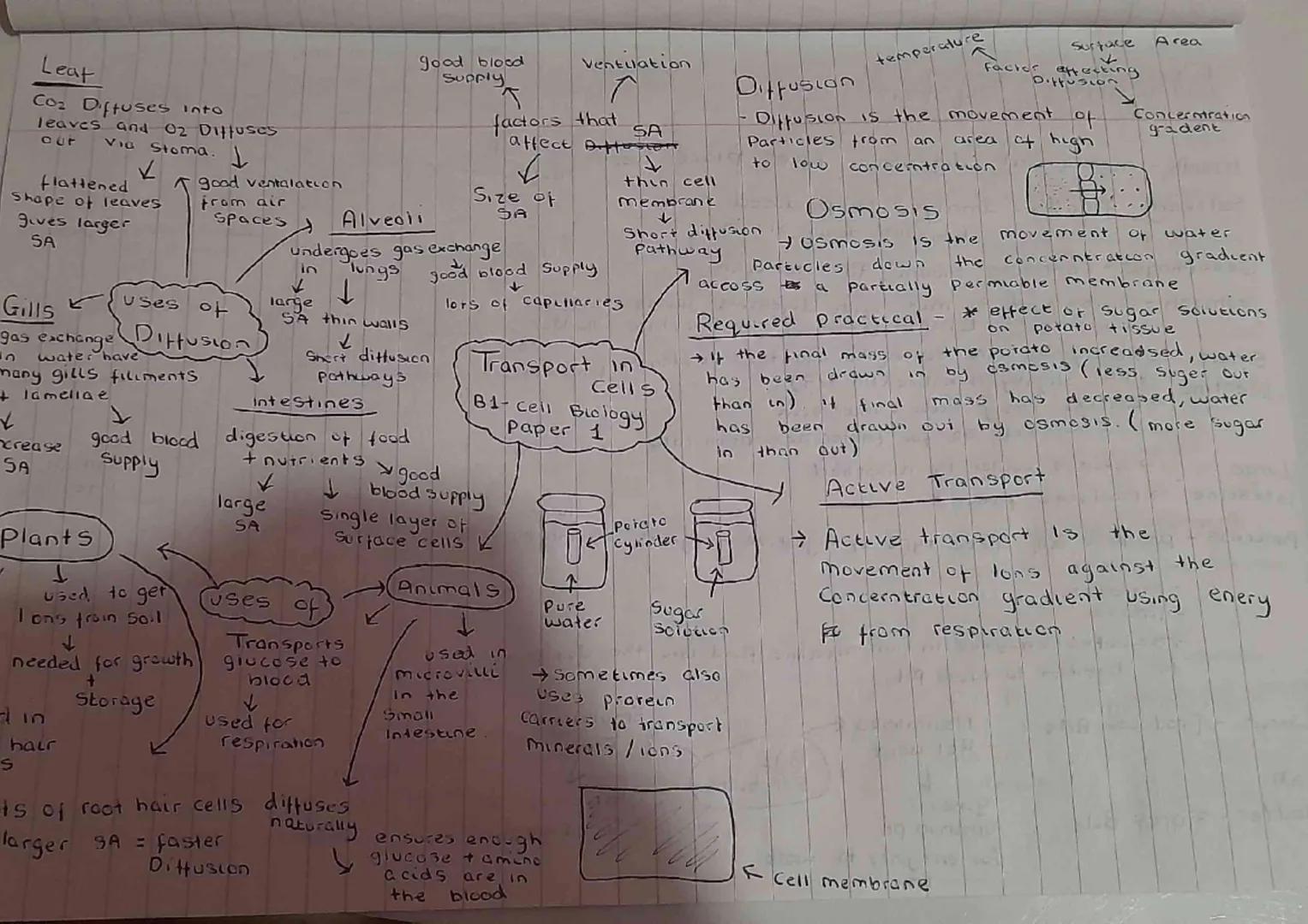 Cell Differentiation
→Cells aquere extra Sub-Cellular Structures to have
a Particular function in the body.
nerve cell long
Axons
carry ele