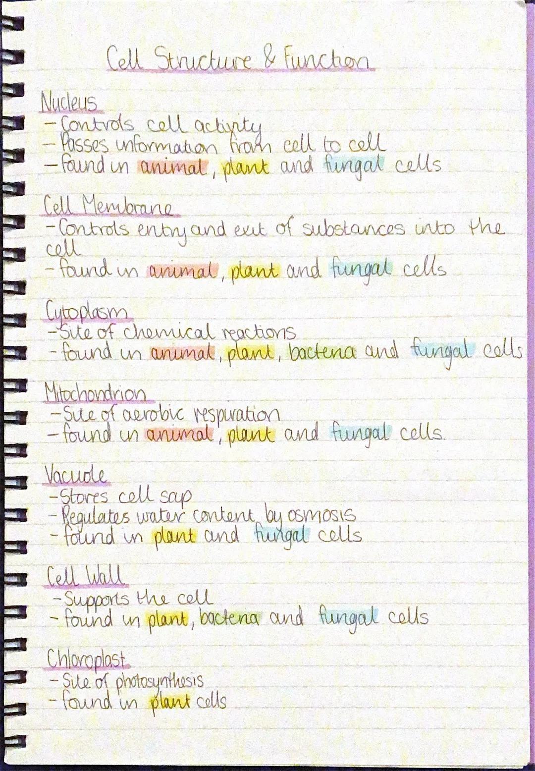 N5 Biology: Comprehensive Cell Structure Notes