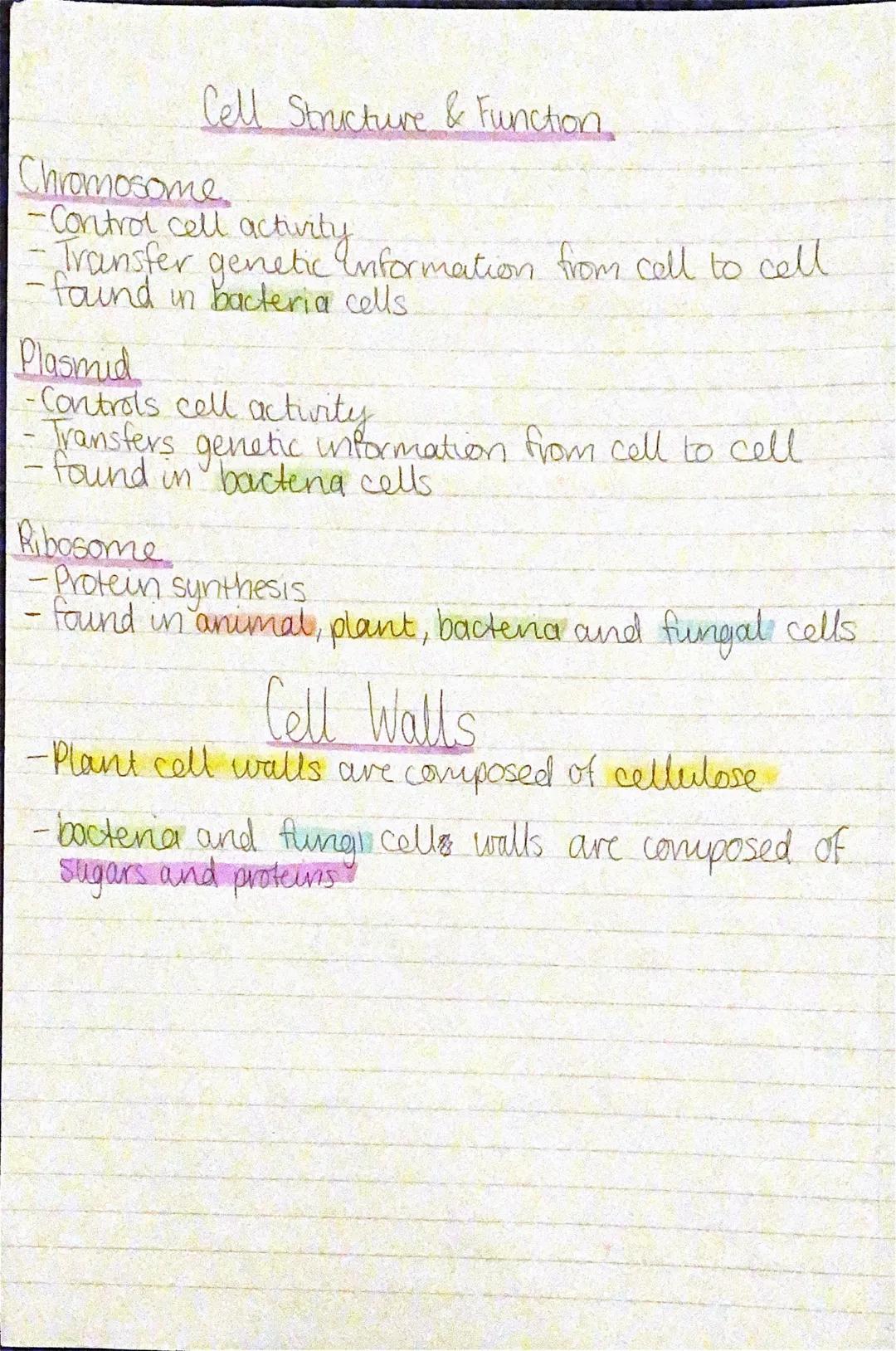 Cell Structure & Function
Nucleus
•Controls cell actipty
-Passes information from cell to cell
- found in animal, plant and fungal cells
Cel