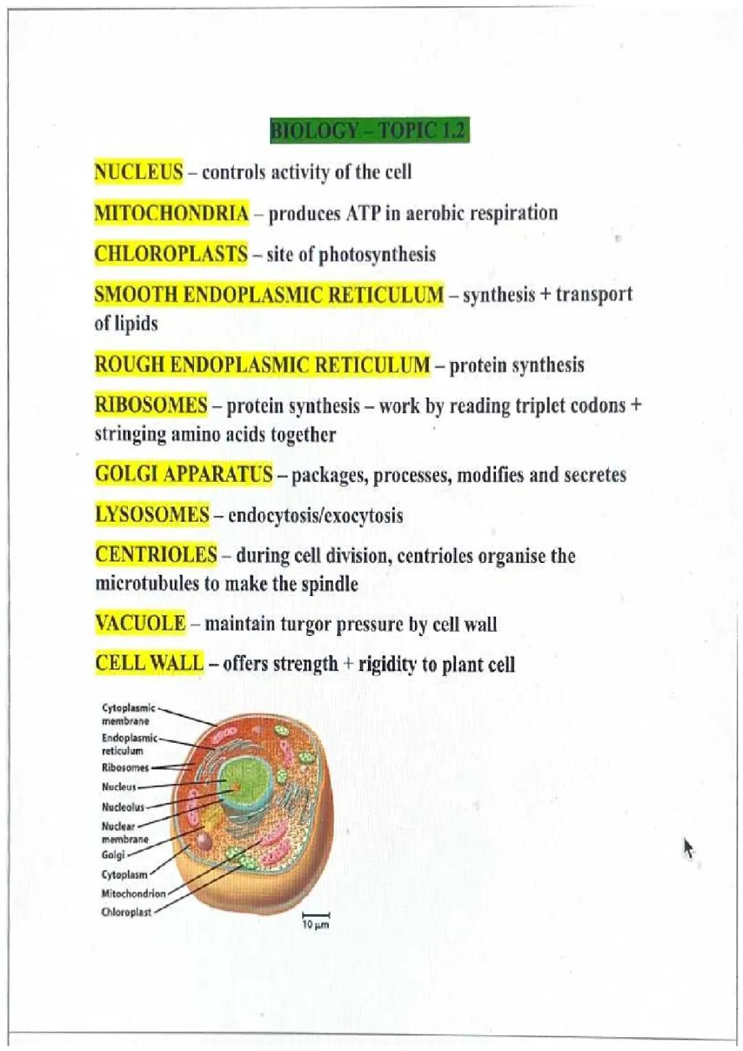 TOPIC 1.2 BIOLOGY AS LEVEL WJEC