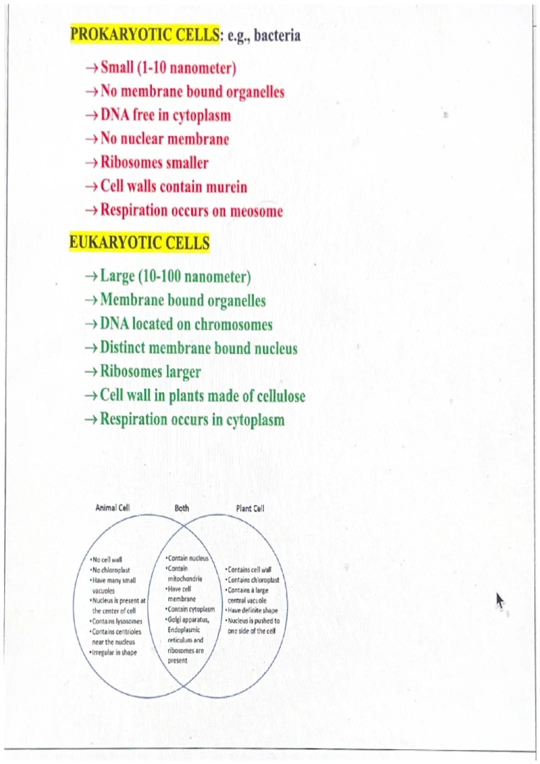 NUCLEUS - controls activity of the cell
MITOCHONDRIA - produces ATP in aerobic respiration
CHLOROPLASTS-site of photosynthesis
BIOLOGY-TOPIC