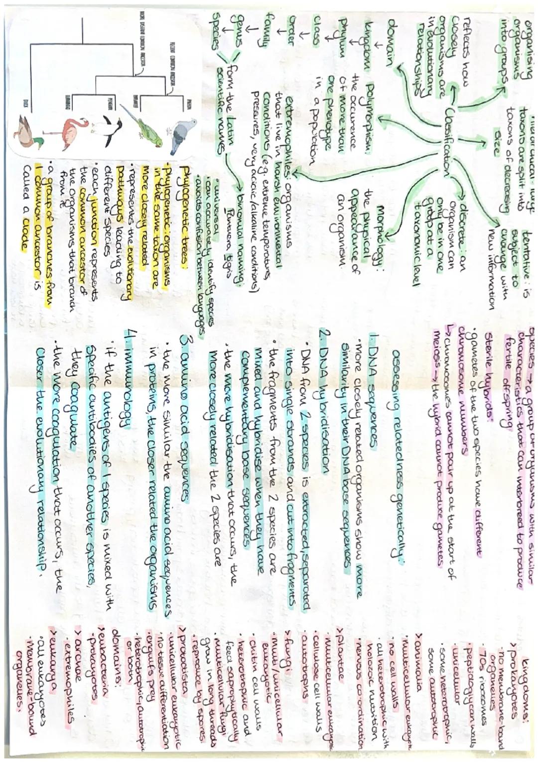 tentative: is
organising
organisms
into groups
erarchical surge
taxons are split into
taxons of decreasing
Size
subject to
change with
new i