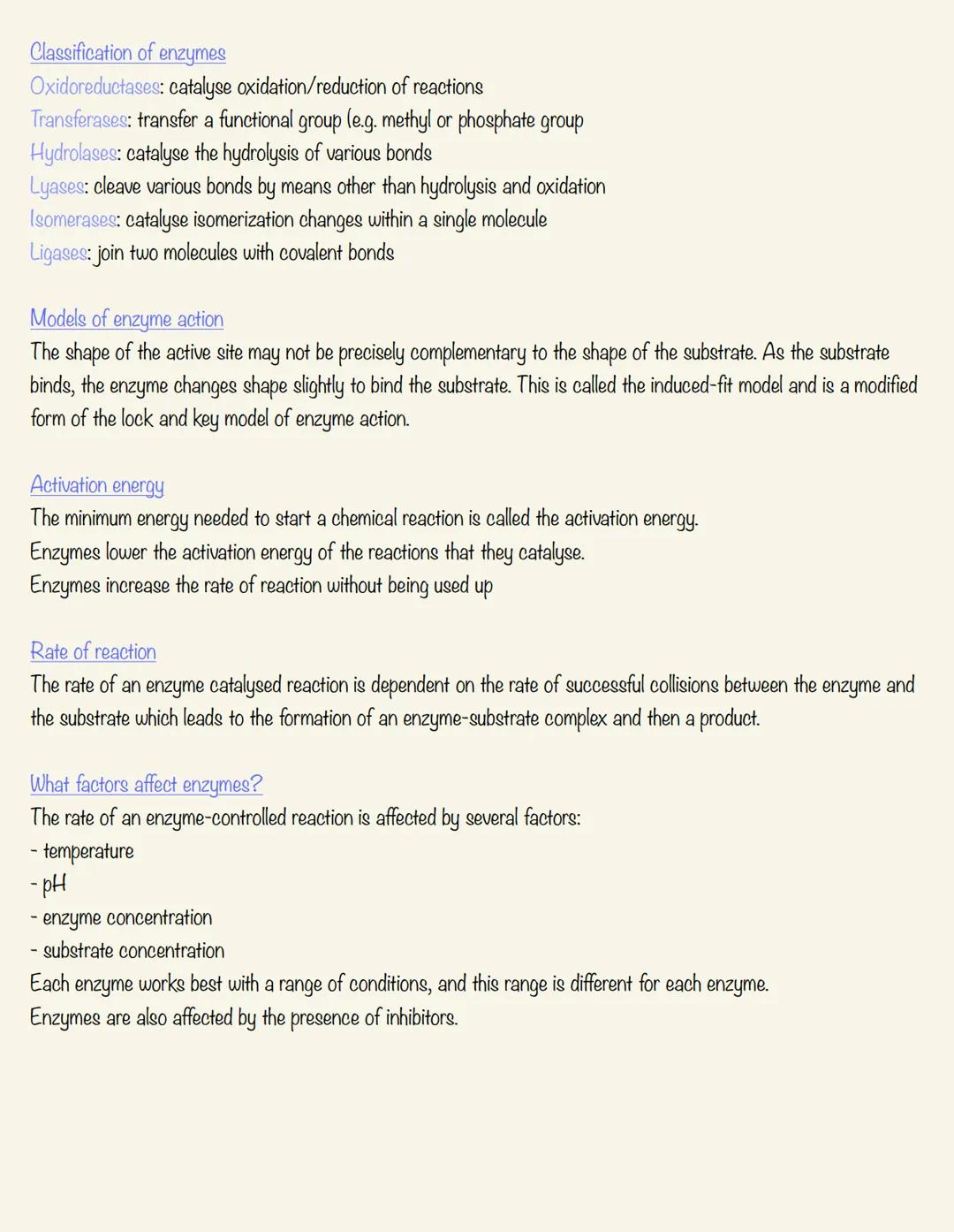 ENZYMES
What are enzymes?
- every cell requires hundreds of biochemical reactions to survive and carry out its function
- nearly all of thes