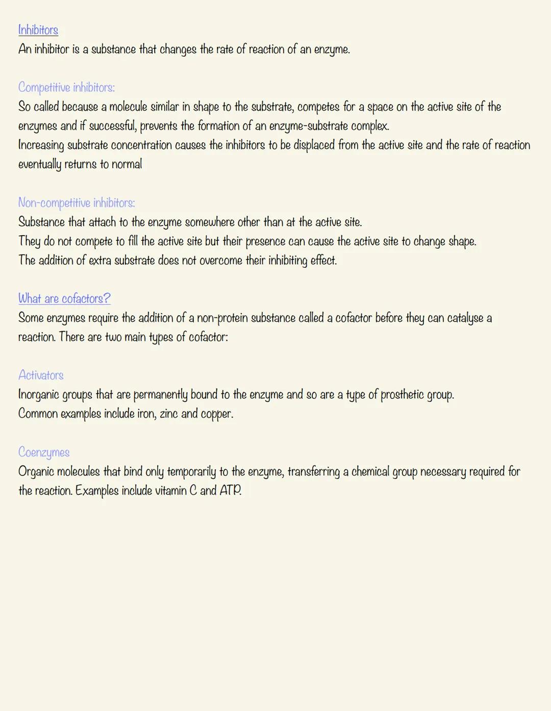 ENZYMES
What are enzymes?
- every cell requires hundreds of biochemical reactions to survive and carry out its function
- nearly all of thes