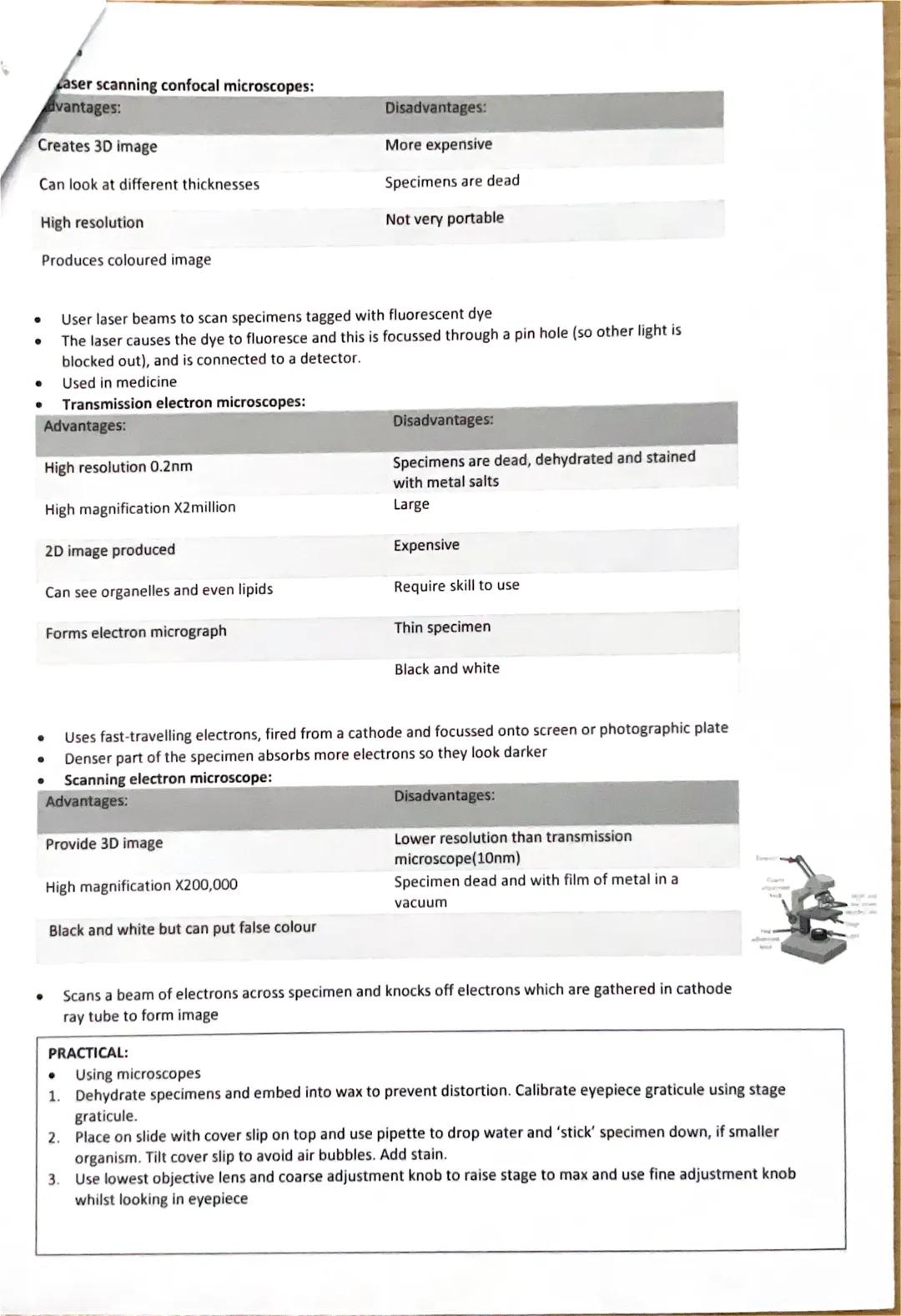 CELL STRUCTURE:
● Eukaryotic cells:
Prokaryotic organisms are single-celled. They're small and simple (so not pros)
Eukaryotic organisms are