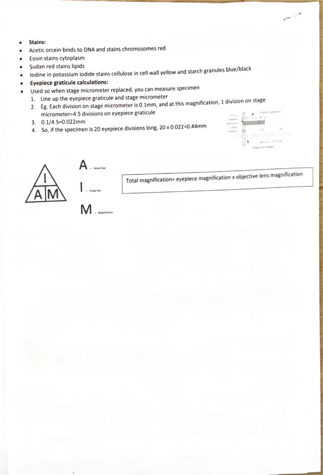 CELL STRUCTURE:
● Eukaryotic cells:
Prokaryotic organisms are single-celled. They're small and simple (so not pros)
Eukaryotic organisms are