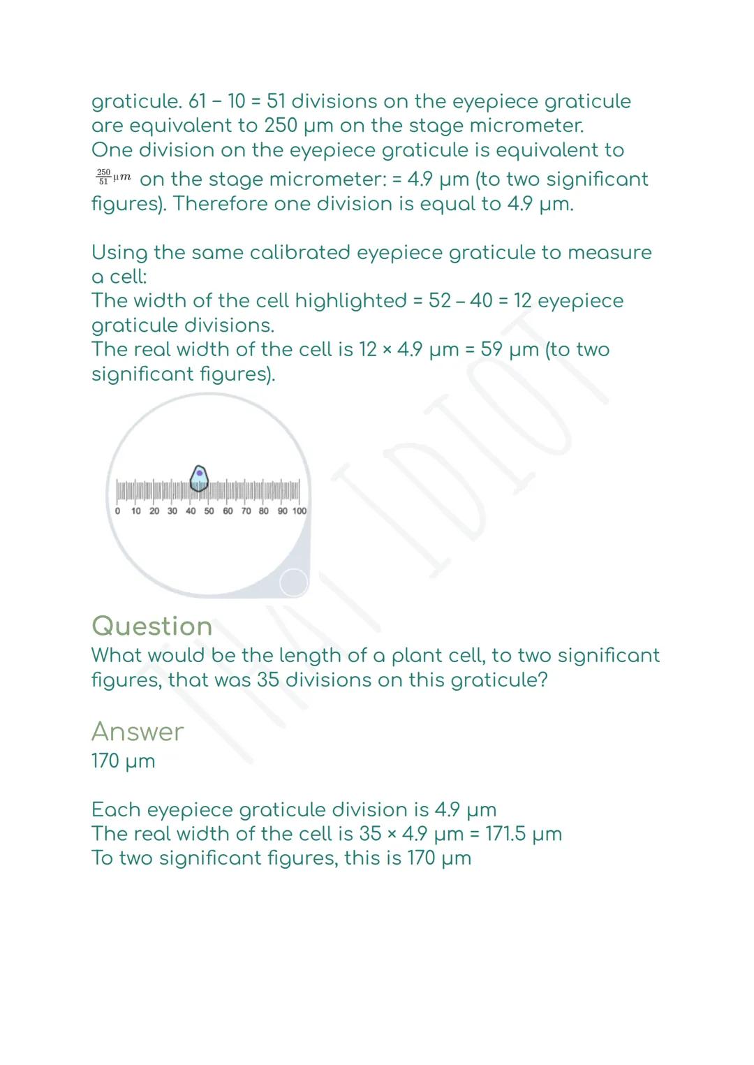 # Measuring cell size
Cell size can be measured using an eyepiece graticule.
The graticule has a scale ruled on it.
You must find out the