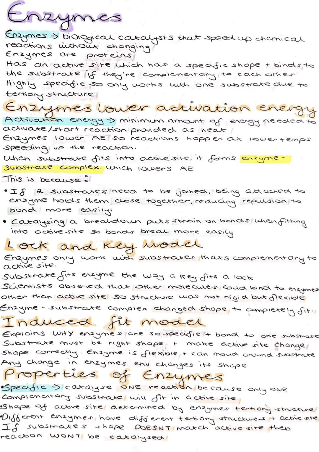 Enzymes
Enzymes biological catalysts that speed up chemical
reactions without changing
Enzymes are
proteins
an active site which has
Has
wit