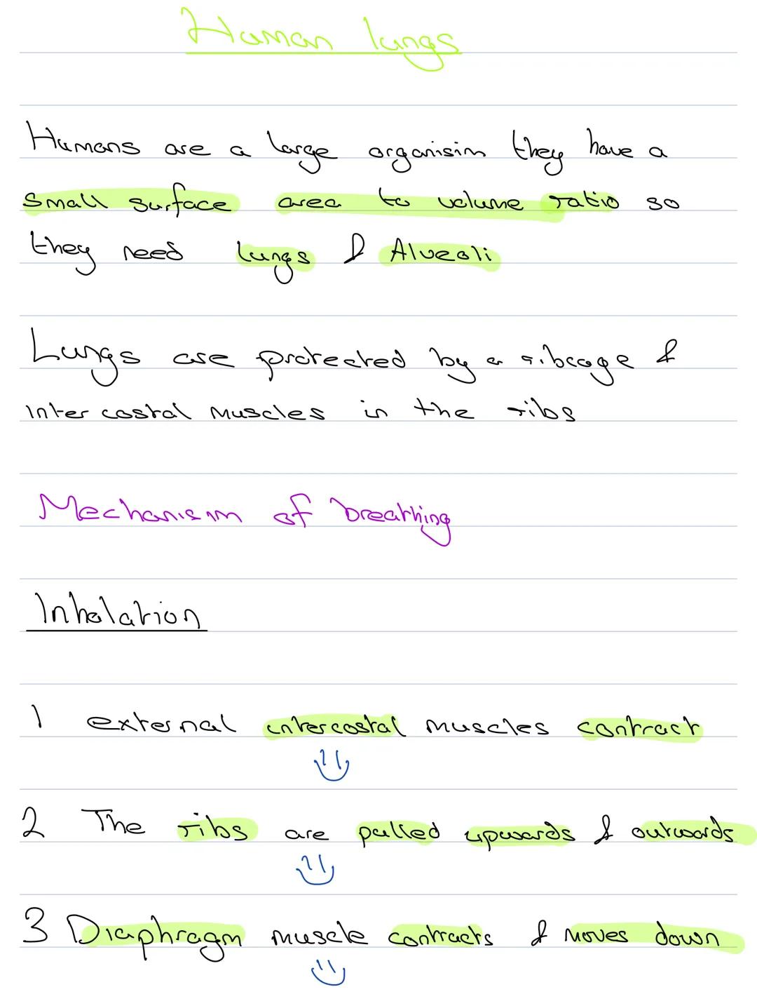 # Transport & Exchange mechaisims
We need to take in $O_2$ I get rid of
$CO_2$ to Stay alive
$O_2$ is used for respiration
In unicellular